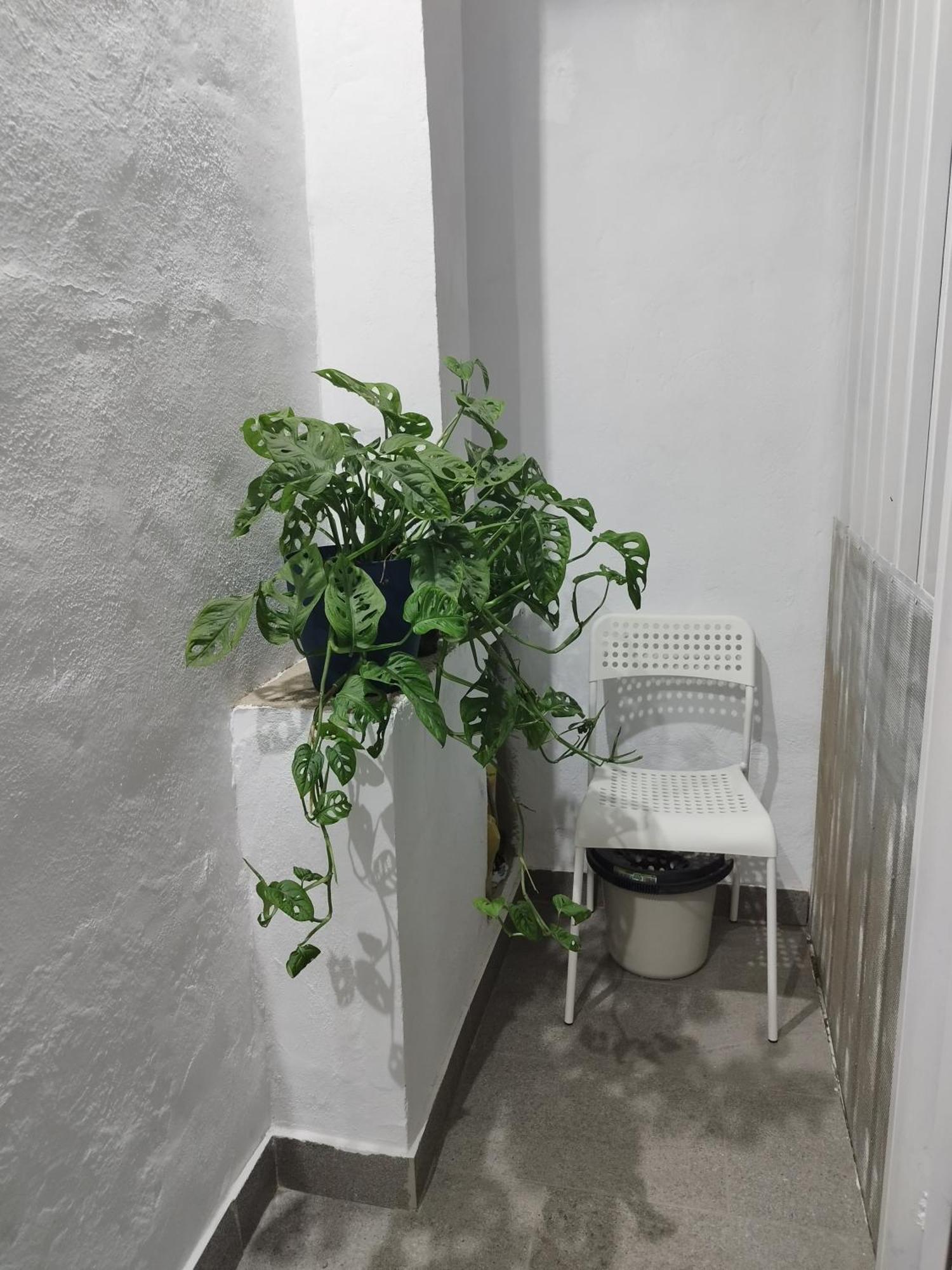 Casa De Maria Luisa Apartment Arona  Bagian luar foto